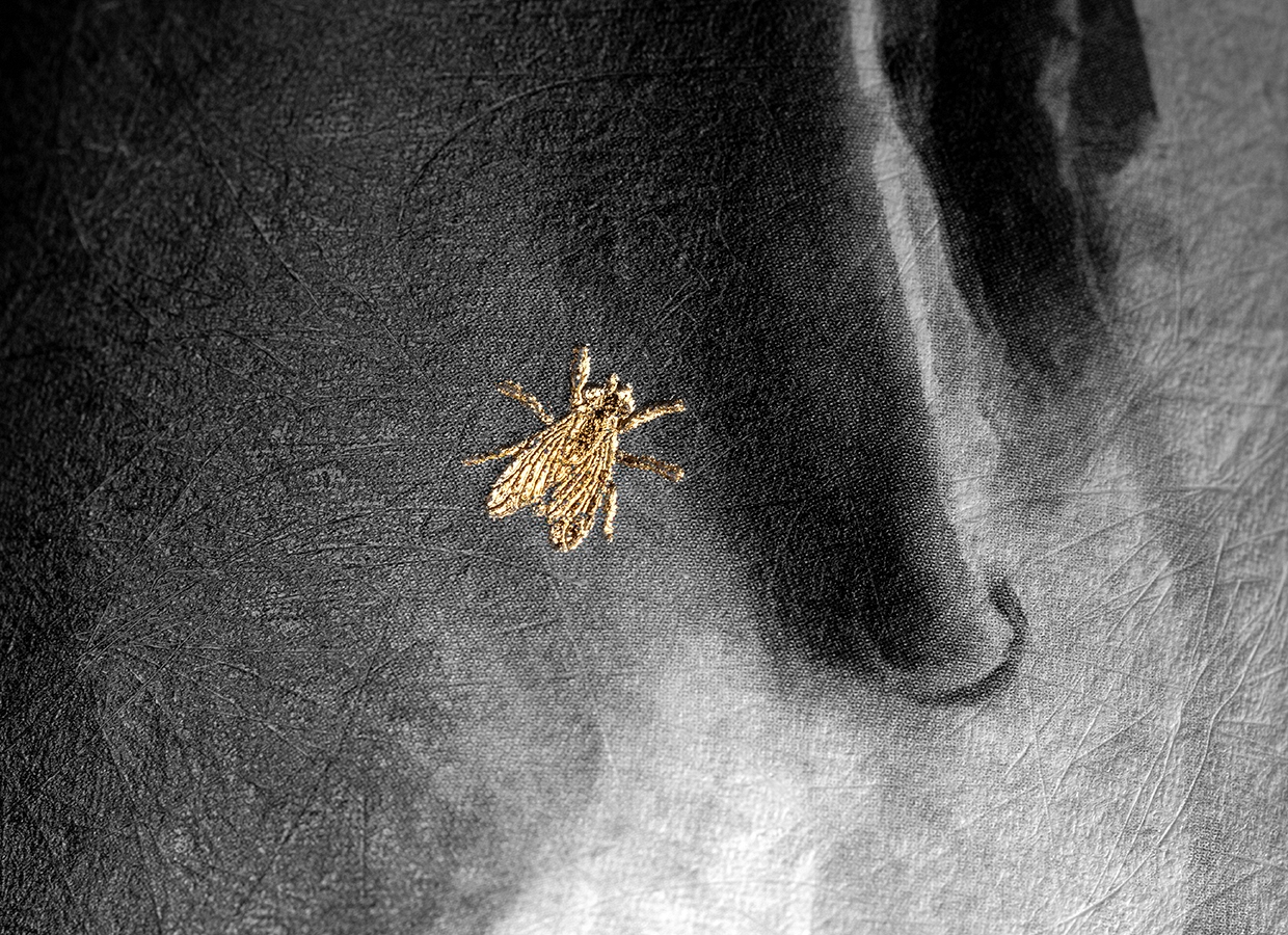 La mosca detrás de la oreja. Naming y diseño de etiqueta