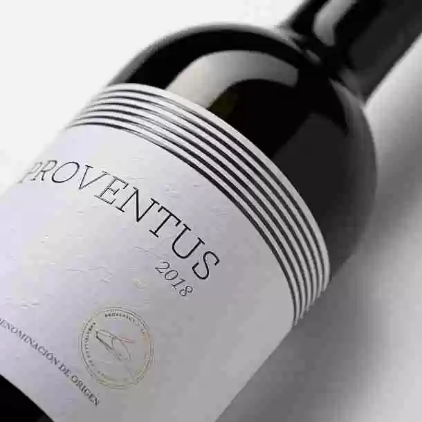 Proventus 2018