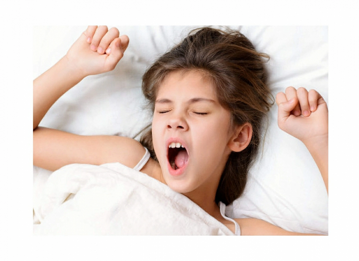 Identidad corporativa y branding para empresa de almohadas