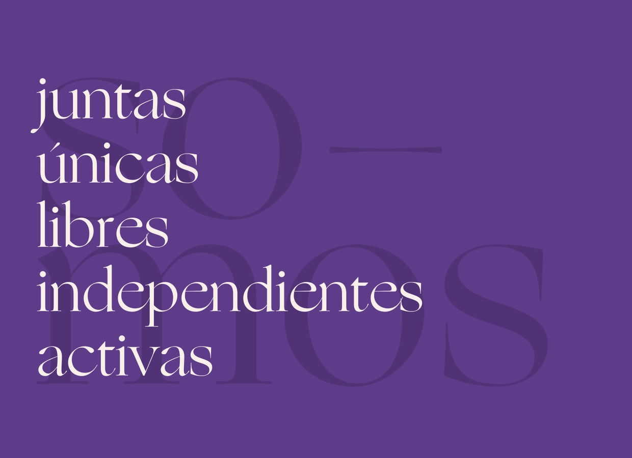 Proyecto Julia. Diseño de identidad para ONG