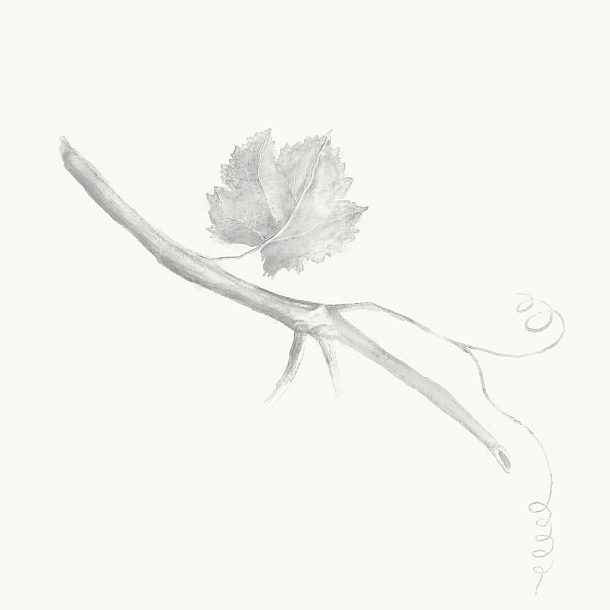 El Sarmiento restaurante